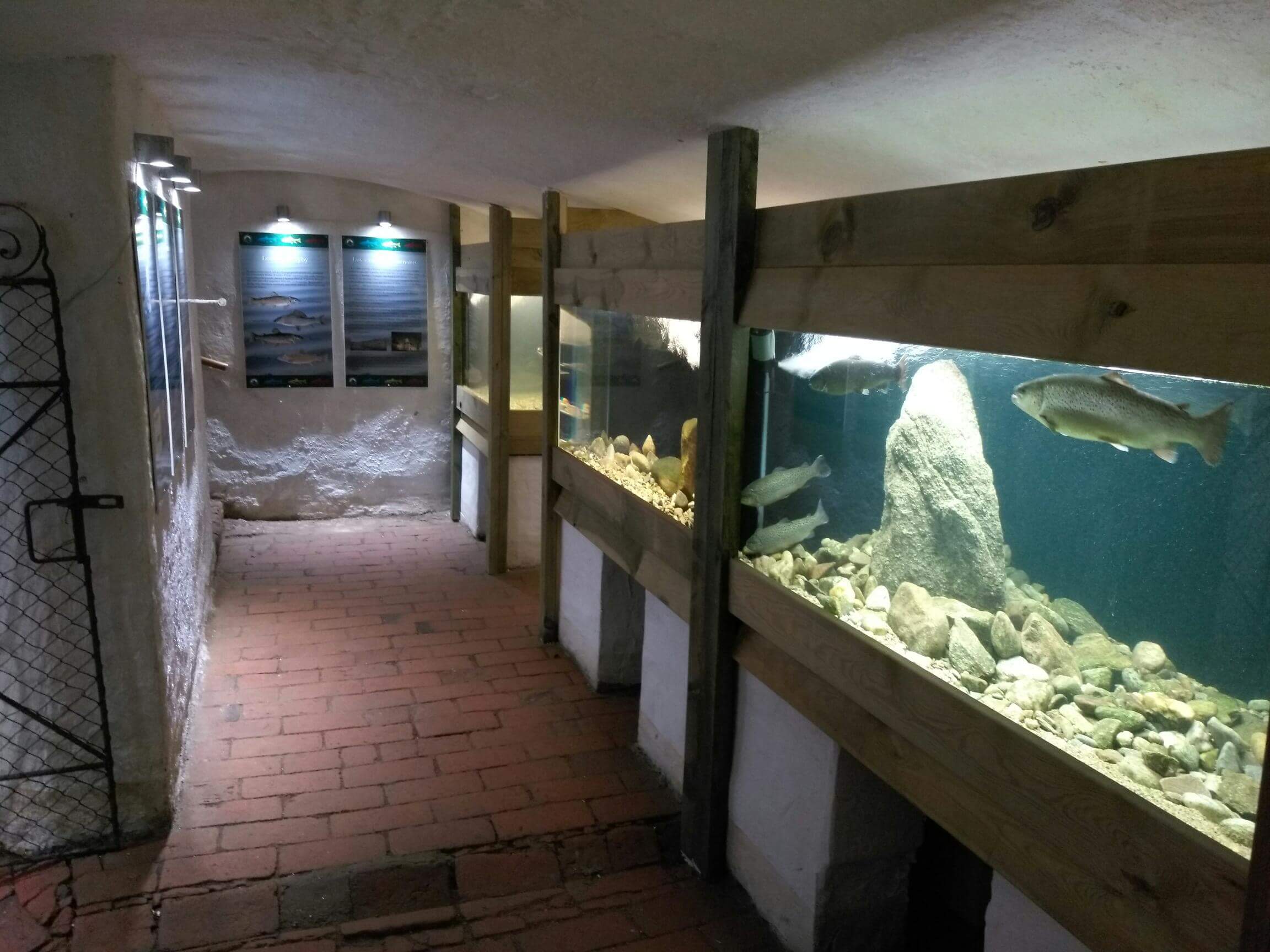 Akvarium Orlík