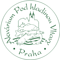 Akvárium Pod hladinou Vltavy Logo